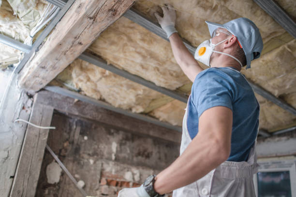 Best Local Insulation Services  in Avilla, IN