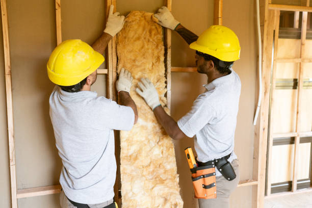 Best Home Insulation Services  in Avilla, IN