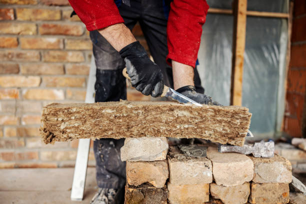 Best Wall Insulation Contractor  in Avilla, IN