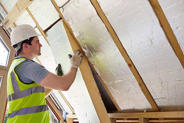 Best Insulation Inspection Services  in Avilla, IN