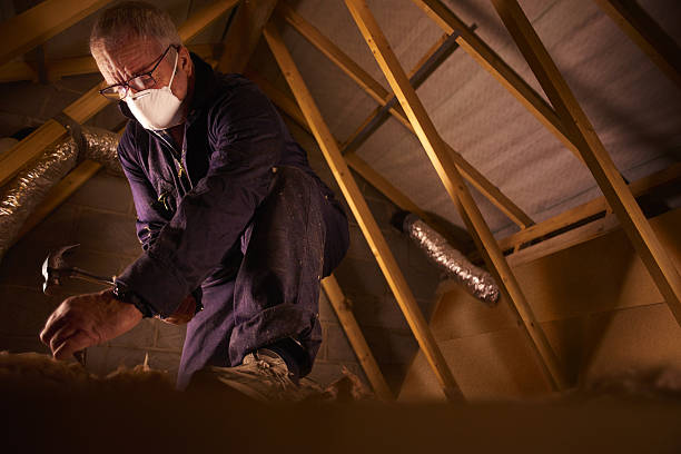Best Spray Foam Insulation  in Avilla, IN